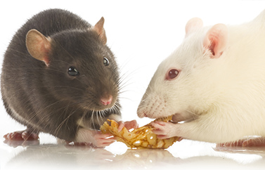 С����ע�䌣���M(j��n)���